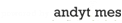 Andytimes - Web & Mobile Applications